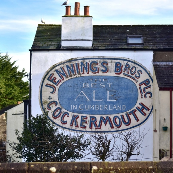Jennings Brewery England JENNINGS BITTER Ale Beer Polo Shirt Navy Size Medium - Picture 16 of 17